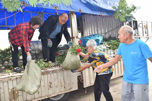 綠滿沂蒙花滿村3 (2).jpg